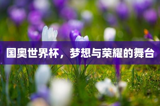 国奥世界杯，梦想与荣耀的舞台