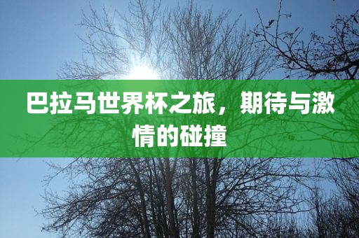 巴拉马世界杯之旅，期待与激情的碰撞漯河市盈旭机械设备有限公司