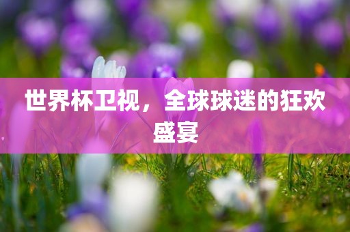 世界杯卫视，全球球迷的狂欢盛宴漯河市盈旭机械设备有限公司