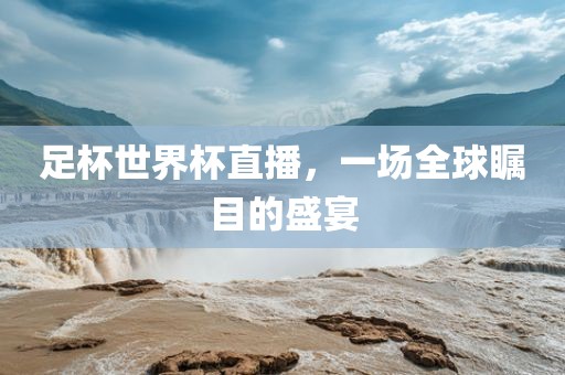 足杯世界杯直播，一场全球瞩目的盛宴漯河市盈旭机械设备有限公司