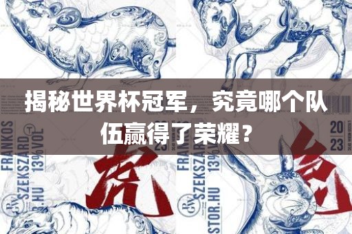 揭秘世界杯冠军，究竟哪个队伍赢得了荣耀？