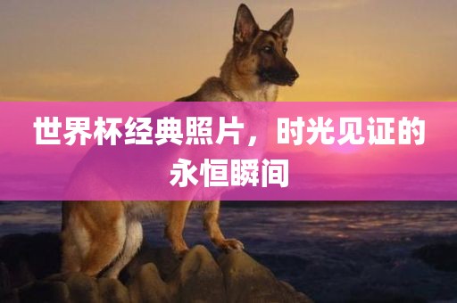 漯河市盈旭机械设备有限公司世界杯经典照片，时光见证的永恒瞬间