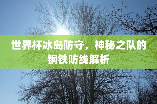世界杯冰岛防守，神秘漯河市盈旭机械设备有限公司之队的钢铁防线解析