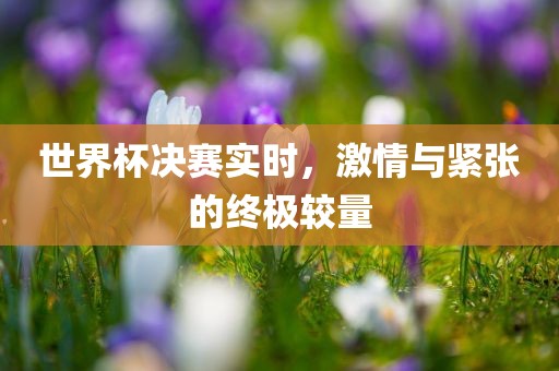 世界杯决赛实时，激情与紧张的终极较量漯河市盈旭机械设备有限公司