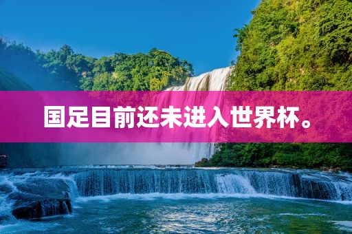 国足目前还未进入世界杯。