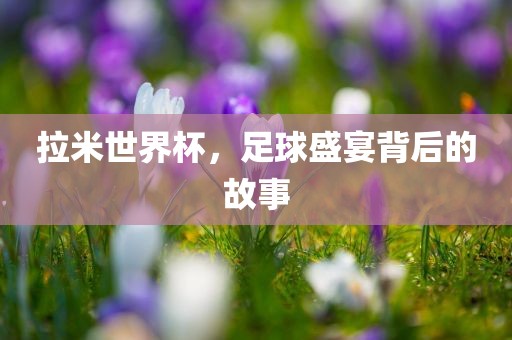 拉米世漯河市盈旭机械设备有限公司界杯，足球盛宴背后的故事