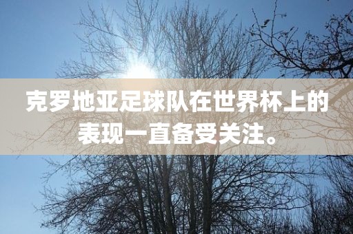 克罗地亚足球队在世界杯上的表现一直备受关注。
