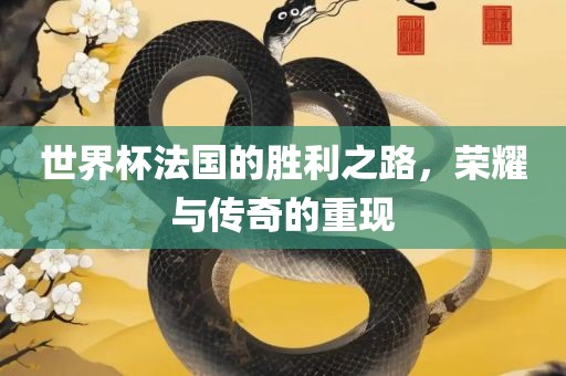 世界杯法国的胜利之路，荣耀与传奇的重现