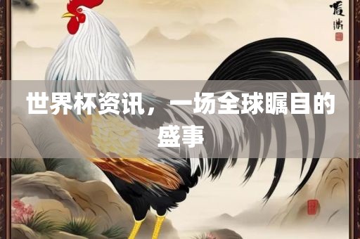 世界杯资讯，一场全球瞩目的盛事