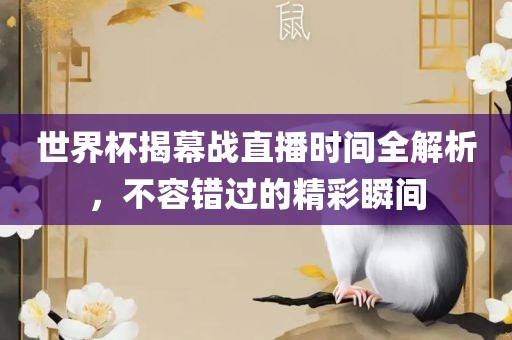 世界杯揭幕战直播时间全解析，不容错过的精彩瞬间