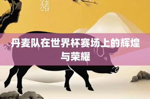丹麦队在世界杯赛场上的辉煌与荣耀