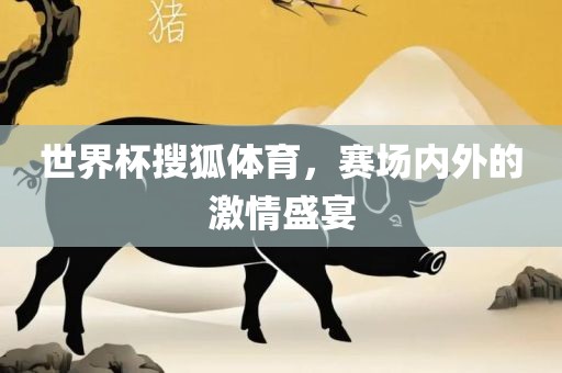 世界杯搜狐体育，赛场内外的激情盛宴漯河市盈旭机械设备有限公司