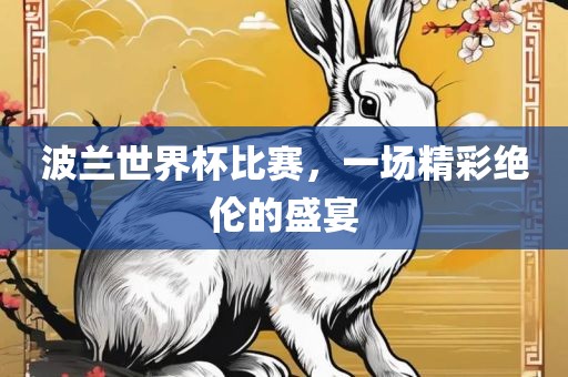 波兰世界杯比赛，一场精彩绝伦的盛宴