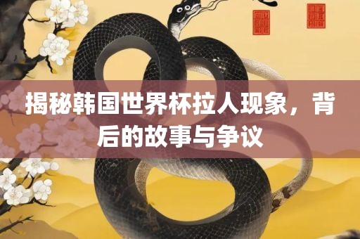 揭秘韩国世界杯拉人现象，背后的故事与争议