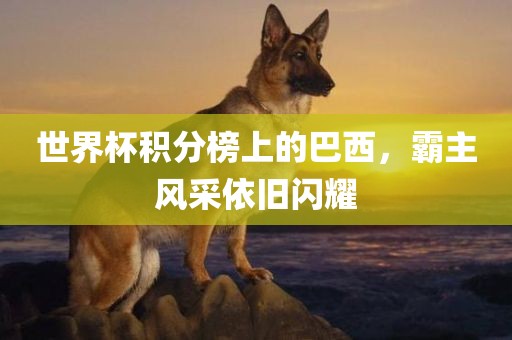 世界杯积分榜上的巴西，霸主风采依旧闪耀