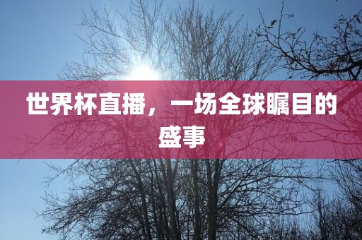 世界杯直播，一场全球瞩目的盛事漯河市盈旭机械设备有限公司