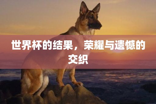 世界杯的结果，荣耀与遗憾的交织
