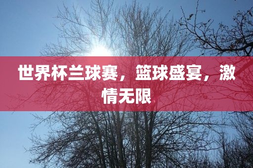 世界杯兰球赛，篮球盛宴，激情无限