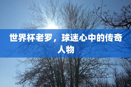 世界杯老罗，球迷心中的传奇人物