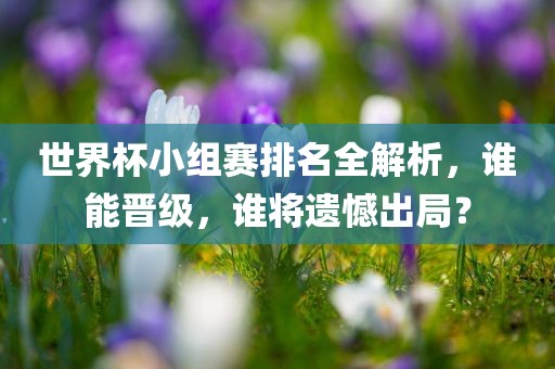 世界杯小组赛排名全解析，谁能晋级，谁将遗憾出局？
