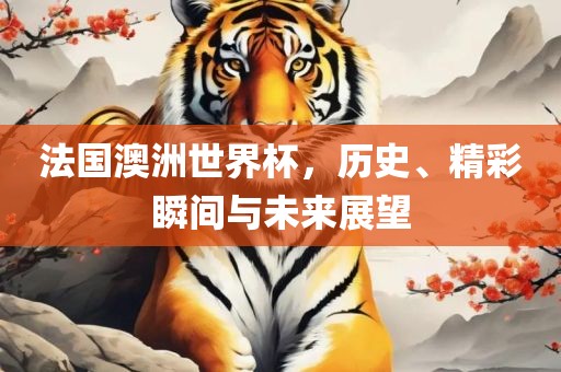 法国澳洲世界杯，历史、精彩瞬间与未来展望漯河市盈旭机械设备有限公司