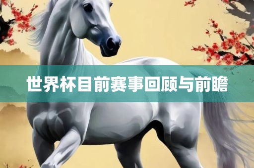 世界杯目前赛事回顾与前瞻
