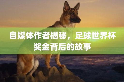 自媒体作者揭秘，足球世界杯奖金背后的故事