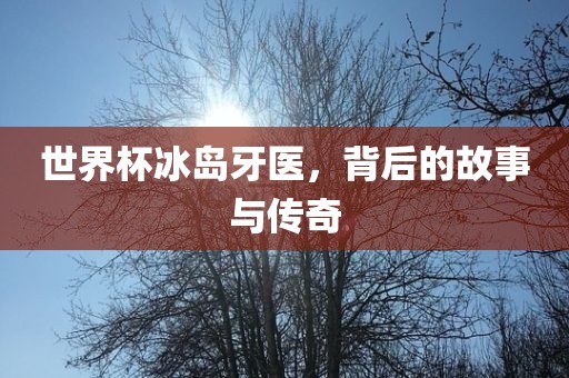 世界杯冰岛牙医，背后的故事与传奇