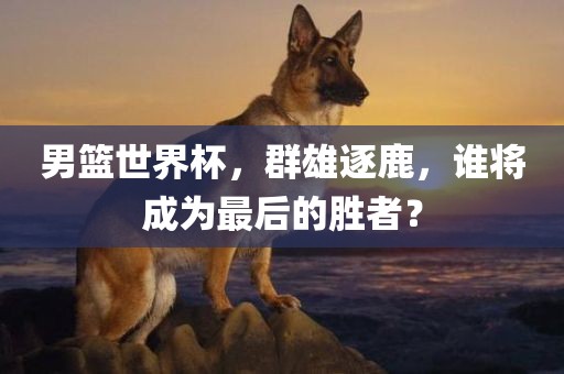 男篮世界杯，群雄逐鹿，谁将成为最后的胜者？漯河市盈旭机械设备有限公司