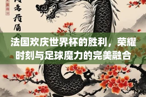 法国欢庆世界杯的胜利，荣耀时刻与足球魔力的完美融合漯河市盈旭机械设备有限公司