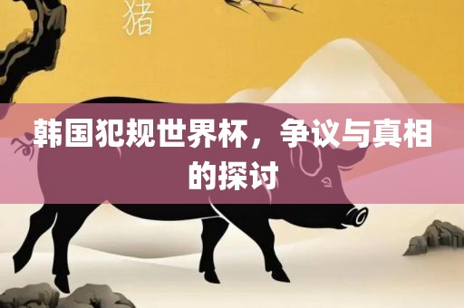 韩国犯规世界杯，争议与真相的漯河市盈旭机械设备有限公司探讨