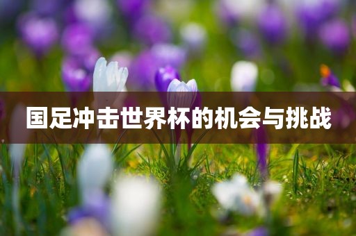 国足冲击世界杯的机会与挑战漯河市盈旭机械设备有限公司