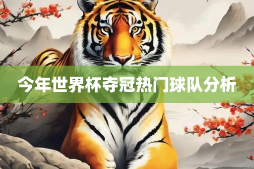 今年世界杯夺冠热门球队分析