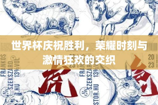 世界杯庆祝胜利，荣耀时刻与激情狂欢的交织