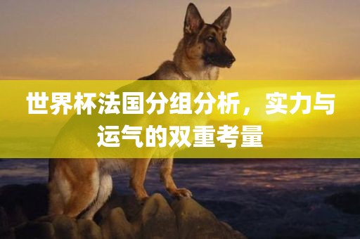 世界杯法国分组分析，实力与运气的双重考量