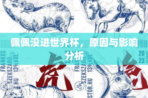 佩佩没进世界杯，原因与影响分析