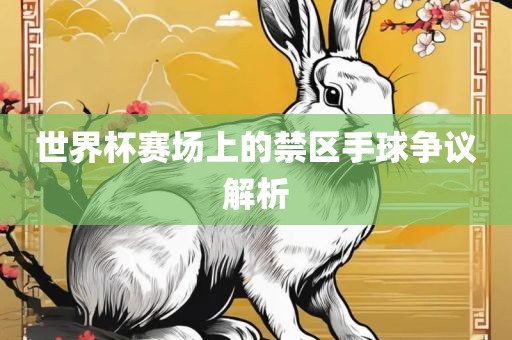 世界杯赛场上的禁区手球争议解析