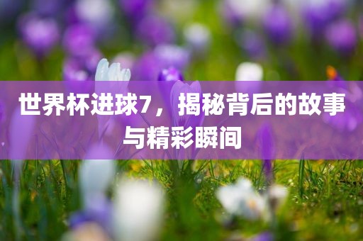 世界杯进球7，揭秘背后的故事与精彩瞬间