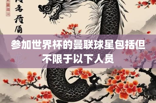 参加世界杯的曼联球星包括但不限于以下人员漯河市盈旭机械设备有限公司