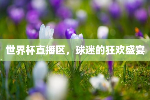 世界杯直播区，球迷的狂欢盛宴