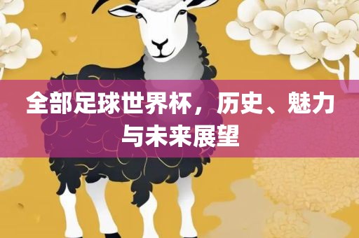 全部足球世界杯，历史、魅力与未来展望漯河市盈旭机械设备有限公司