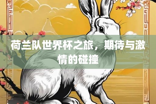 荷兰队世界杯之旅，期待与激情的碰撞