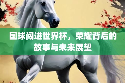 国球闯进世界杯，荣耀背后的故事与未来展望漯河市盈旭机械设备有限公司