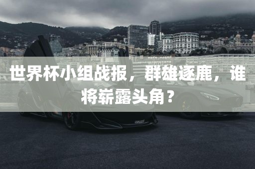 世界杯小组战报，群雄逐鹿，谁将崭露头角？