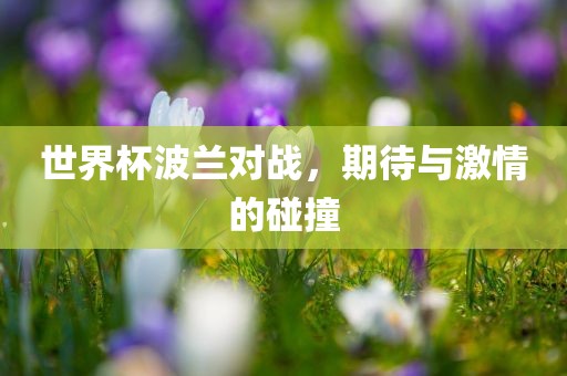 世界杯波兰对战，期待与激情的碰撞