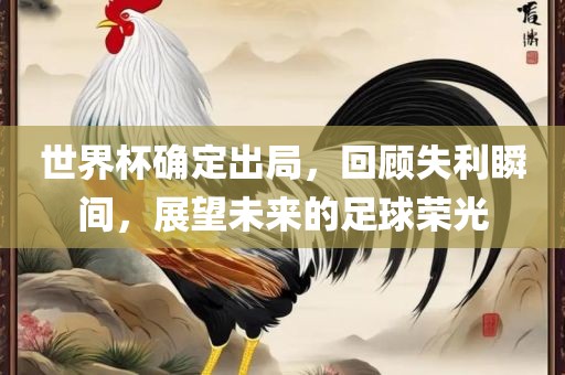 世界杯确定出局，回顾失利瞬间，展望未来的足球荣光漯河市盈旭机械设备有限公司