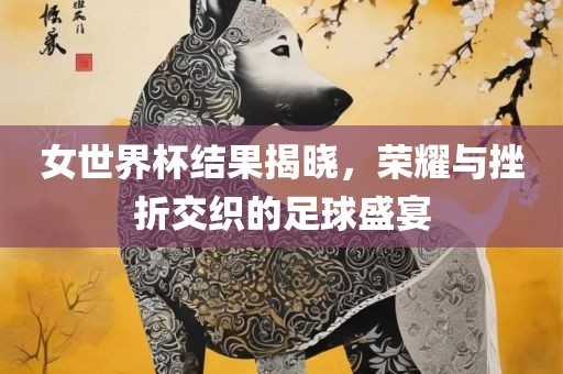 女世界杯结果揭晓，荣耀与挫折交织的足球盛宴
