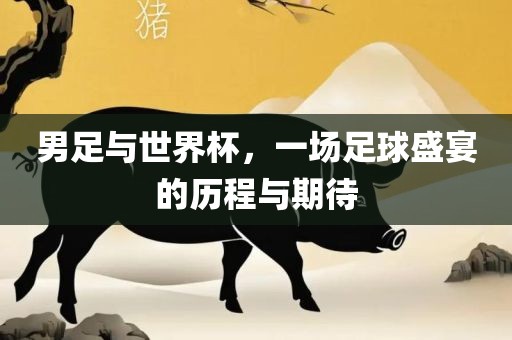 男足与世界杯，一场足球盛宴的历程与期待