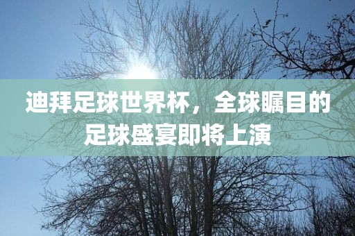 迪拜足球世界杯，全球瞩目的足球盛宴即将上演漯河市盈旭机械设备有限公司