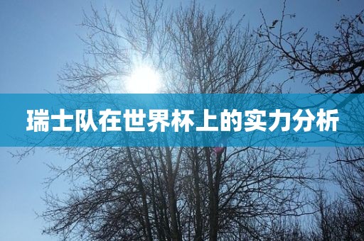 瑞士队在世界杯上的实力分析